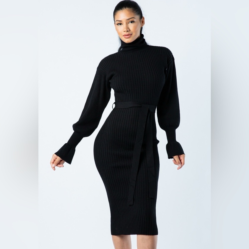 Turtle Neck Knit Dress